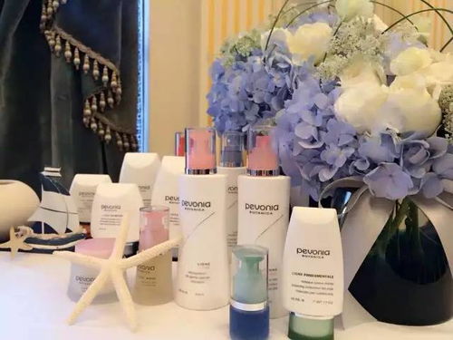 美国蓓丽雅护肤品 产品展示与店铺装修视觉指南